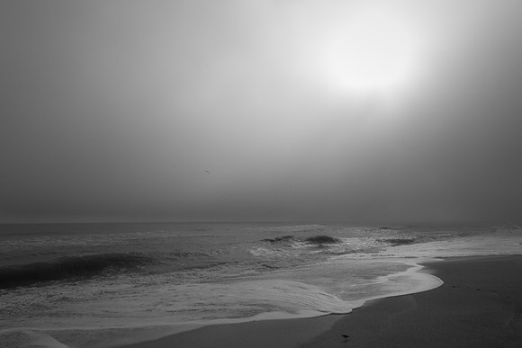 Nov222017_Florida_0167